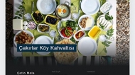 Çetin Mola Web Tasarım