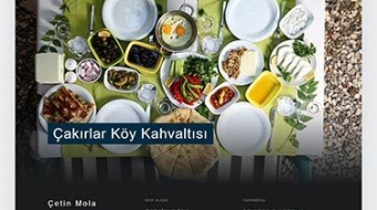 Çetin Mola Web Tasarım