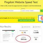 LiteSpeed Cache Ayarları Pingdom Hız Testi