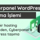 Cyberpanel WordPress taşıma