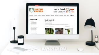 web-tasarim-4
